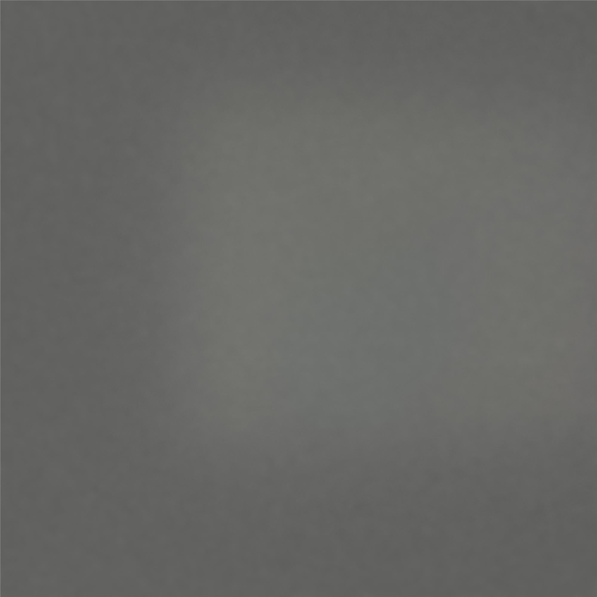 DHP Modern Metal Canopy Bed - Gray - King