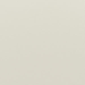 DHP Braylon Twin Size Bed Frame - White - Twin