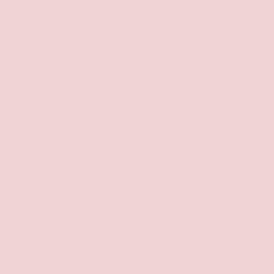 DHP Kids' Carriage Bed - Pink - Twin