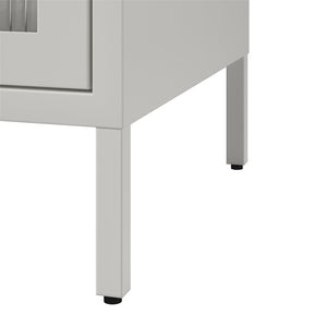 Systembuild Evolution Ashbury Heights 2 Door Metal Accent Cabinet - White