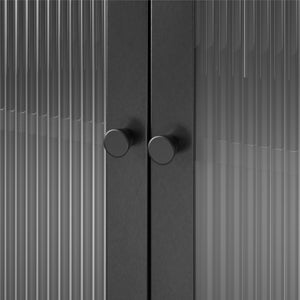 Systembuild Evolution Ashbury Heights 2 Door Metal Accent Cabinet - Black