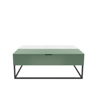 Cortney's Collection Perry Lift-Top Coffee Table - Sage
