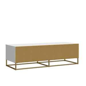 Max & Finn Charlie TV Stand and Storage Unit - White
