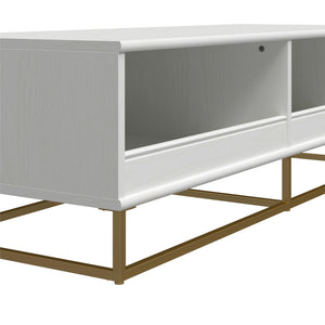 Max & Finn Charlie TV Stand and Storage Unit - White