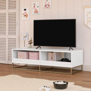 Max & Finn Charlie TV Stand and Storage Unit - White
