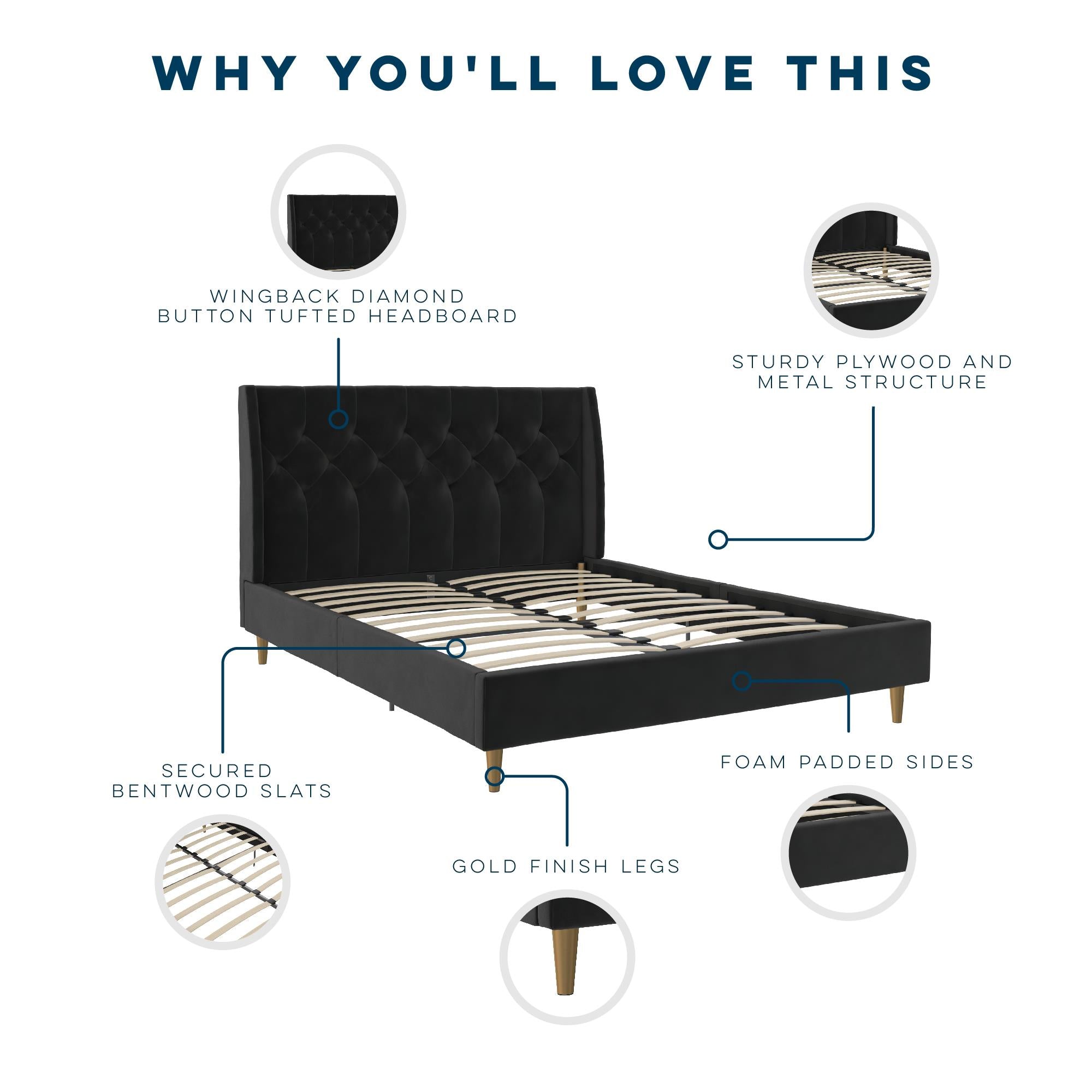 Novogratz Her Majesty Upholstered Bed - Black - Queen