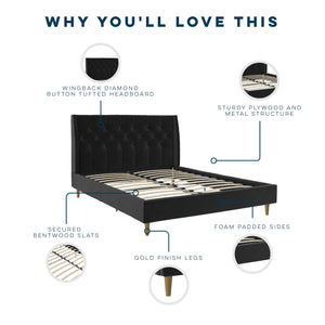 Novogratz Her Majesty Upholstered Bed - Black - Queen
