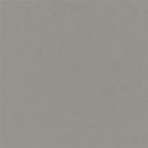 DHP Trule 8" Spring Futon Mattress - Taupe - Full