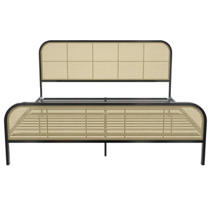 Mr. Kate Roxanne Metal and Cane Bed - Black - King
