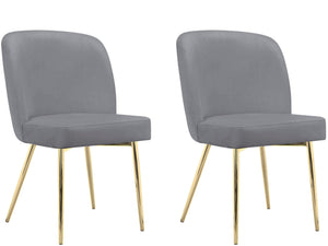 Ren Home Trina Dining Chair, Set of 2 - Gray - Set of 2