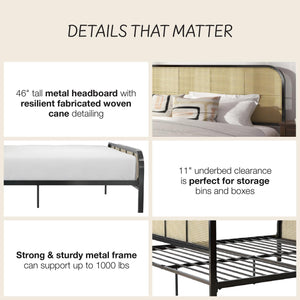 Mr. Kate Roxanne Metal and Cane Bed - Black - King