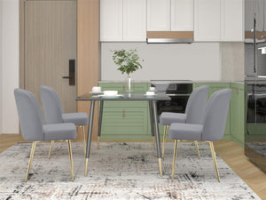Ren Home Trina Dining Chair, Set of 2 - Gray - Set of 2