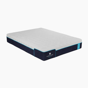Signature Sleep Bliss 10" Charcoal Cool Gel Memory Foam Mattress - White - Queen