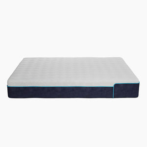 Signature Sleep Bliss 10" Charcoal Cool Gel Memory Foam Mattress - White - Queen