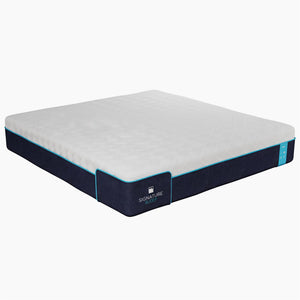 Signature Sleep Bliss 12" Charcoal Cool Gel Memory Foam Mattress - White - King