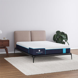 Signature Sleep Bliss 10" Charcoal Cool Gel Memory Foam Mattress - White - Queen