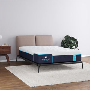 Signature Sleep Bliss 12" Charcoal Cool Gel Memory Foam Mattress - White - Queen