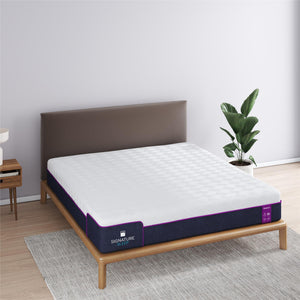 Signature Sleep Memoir 12" Memory Foam Mattress - White - King