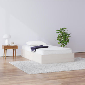 Signature Sleep Magnus Twin Size Bed and Mattress Set - Ivory Oak - Twin