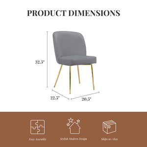 Ren Home Trina Dining Chair, Set of 2 - Gray - Set of 2