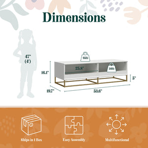 Max & Finn Charlie TV Stand and Storage Unit - White