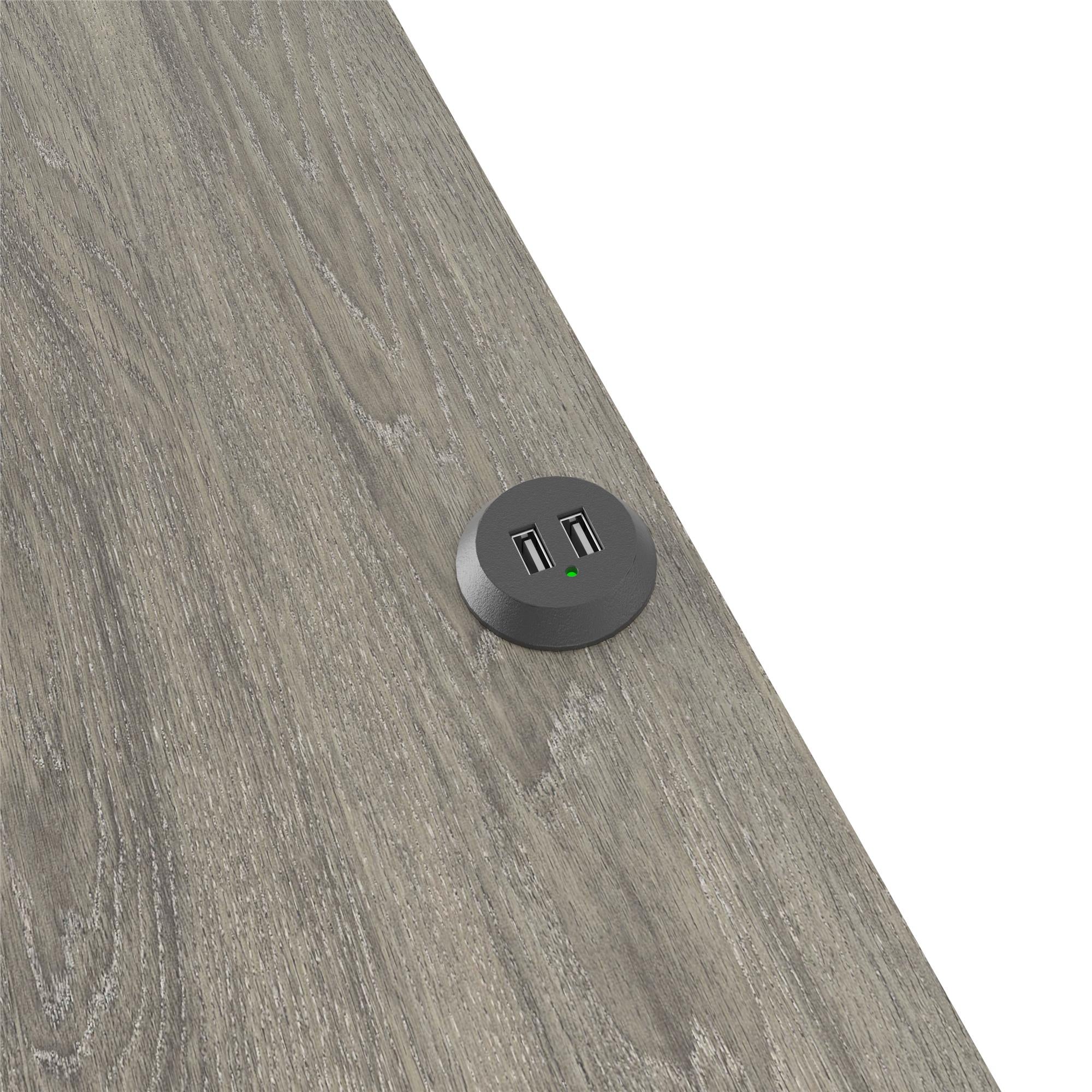Ameriwood Home Beaumont Nightstand with 2 USB Ports - Gray Oak