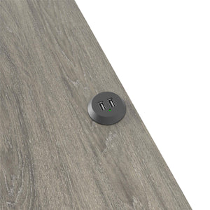 Ameriwood Home Beaumont Nightstand with 2 USB Ports - Gray Oak