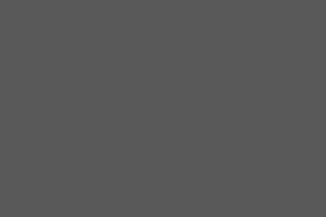 Little Seeds Rowan Valley Forest Loft Bed, Gray/Taupe, Twin - Gray - Twin