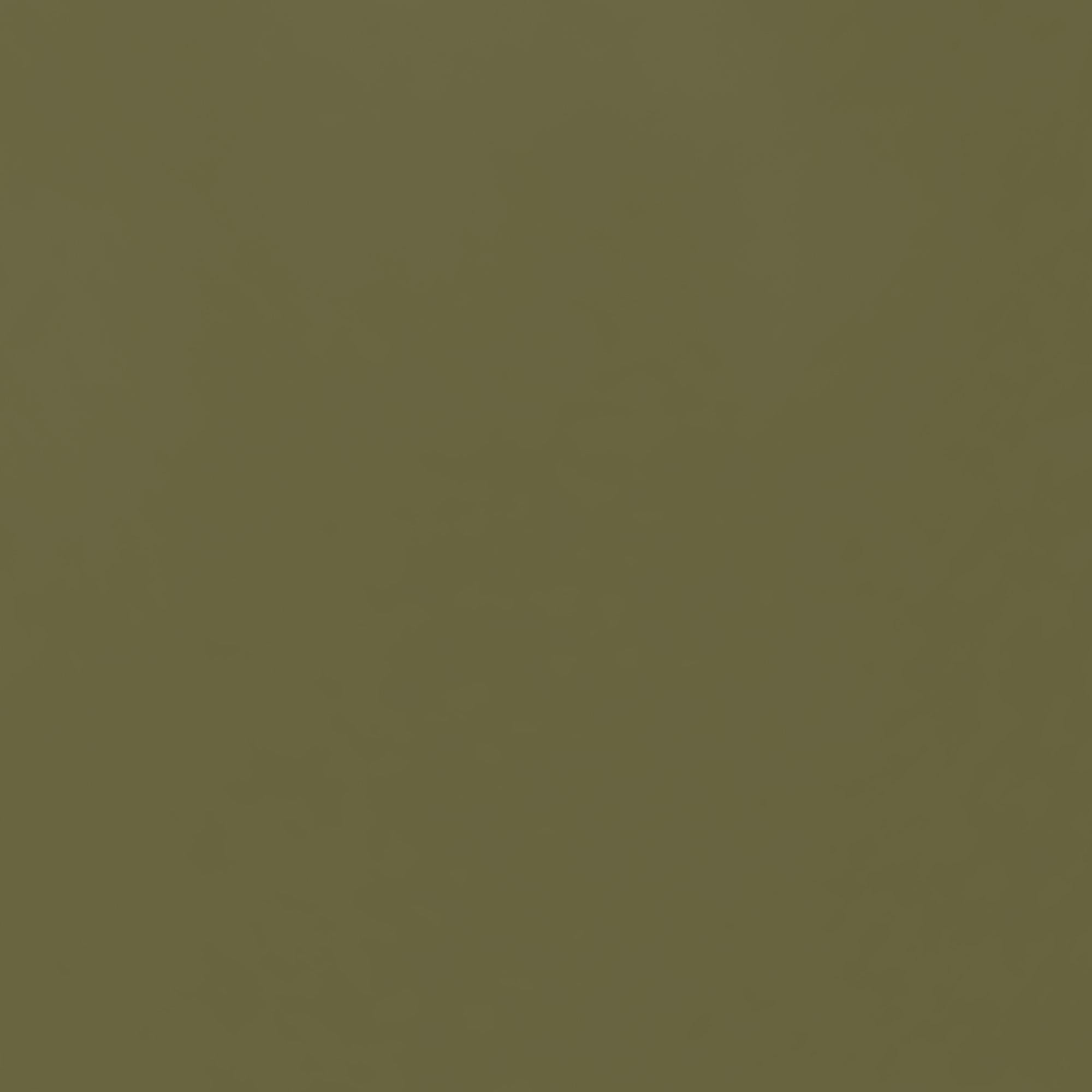 Systembuild Evolution Mission District 2-Door Metal Locker Cabinet - Olive Green