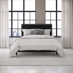 CosmoLiving Audrey Upholstered Bed - Black - Queen