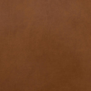 DHP Jasper Futon Sofa Bed - Camel